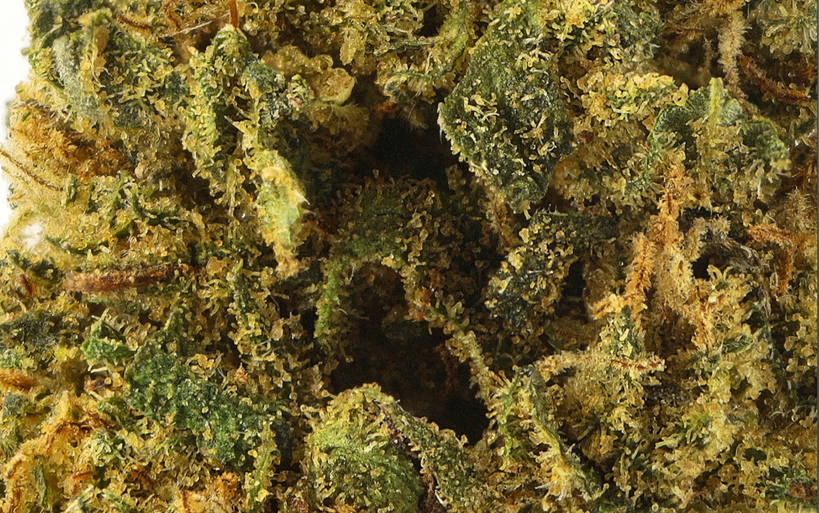 White Widow Premium - Fleurs CBD