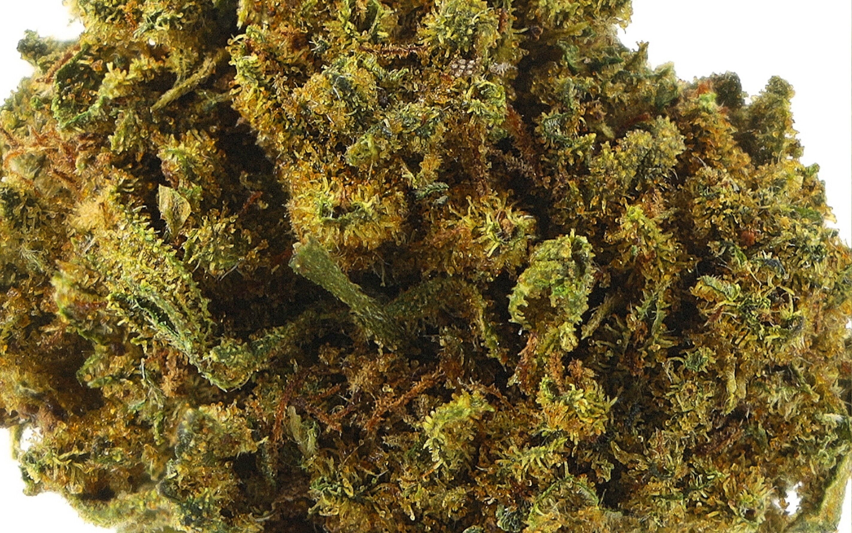 Supreme - Fleurs CBD