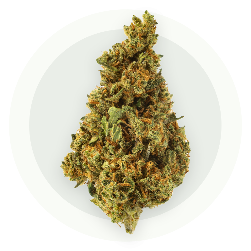Supreme - Kwiaty CBD
