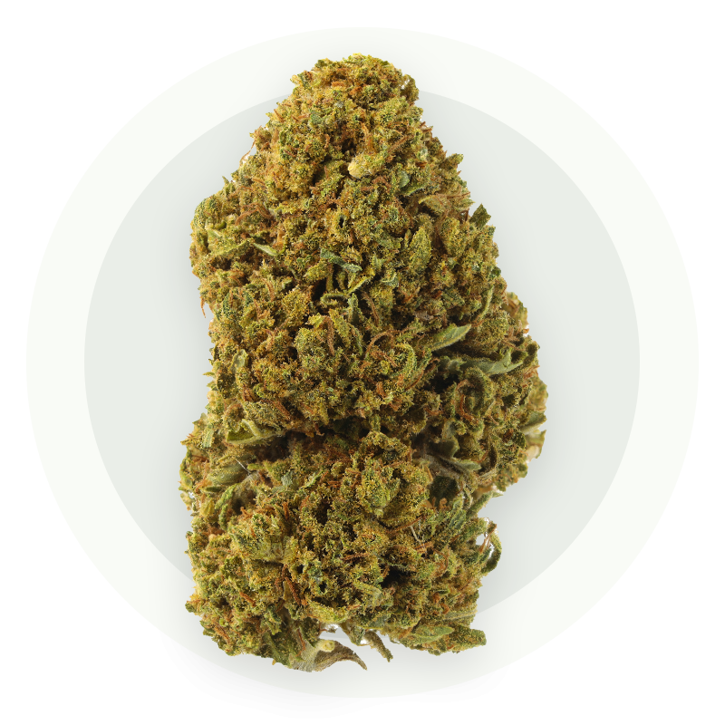 Lody - Kwiaty CBD