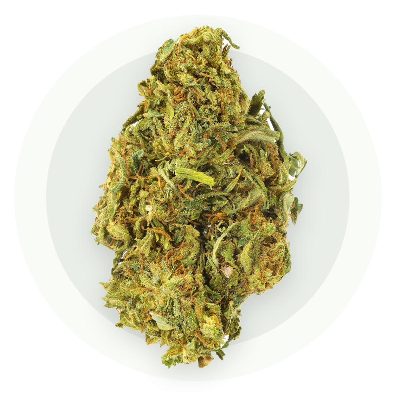 Gelato Premium - Kwiaty CBD
