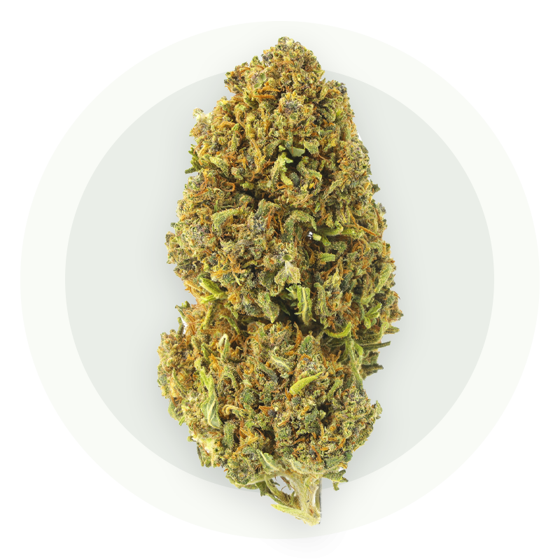 OG Kush CBD - Fleurs CBD