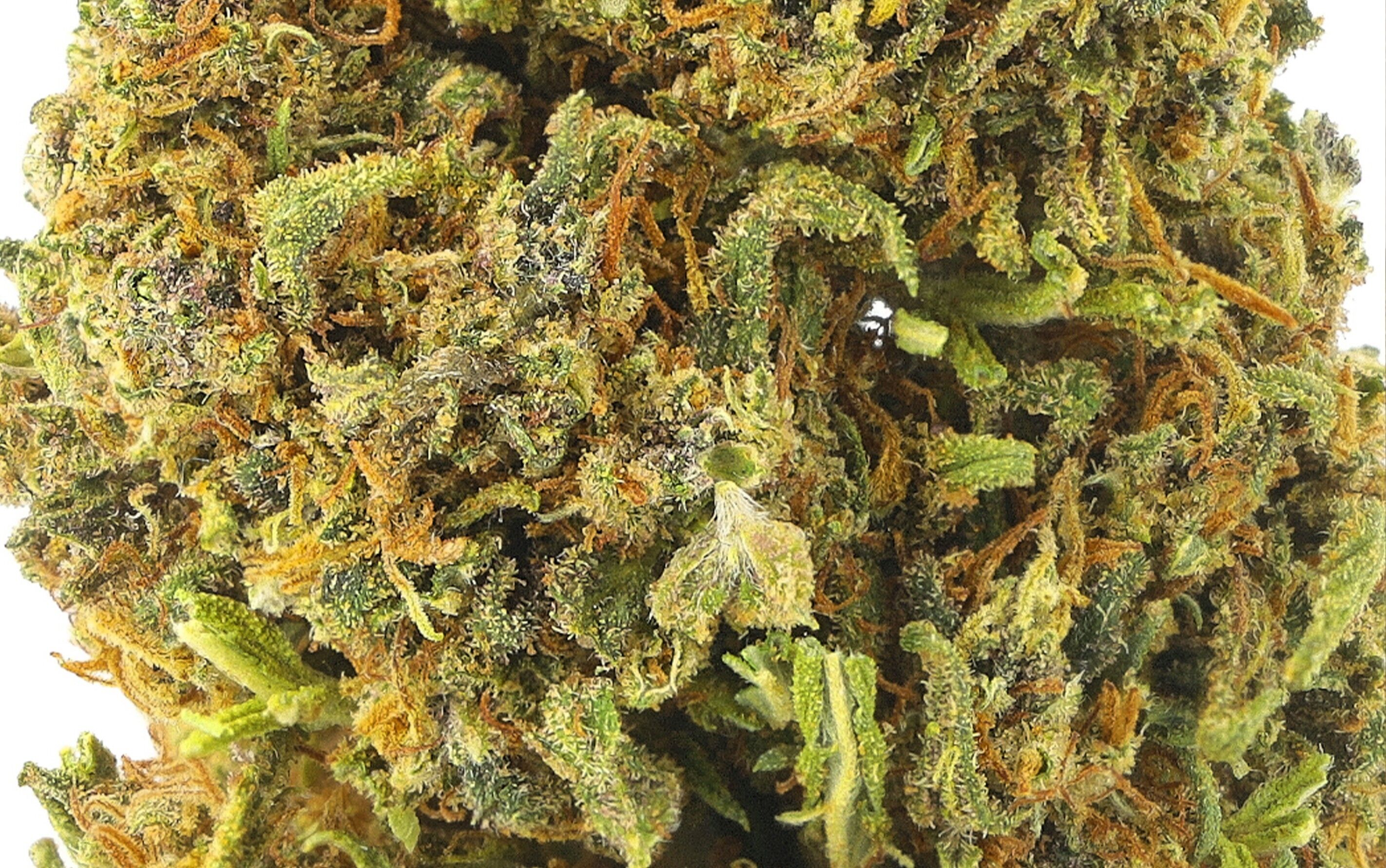OG Kush CBD - Fleurs CBD