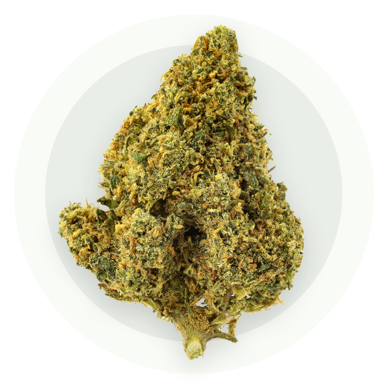 Cali - Fleurs CBD