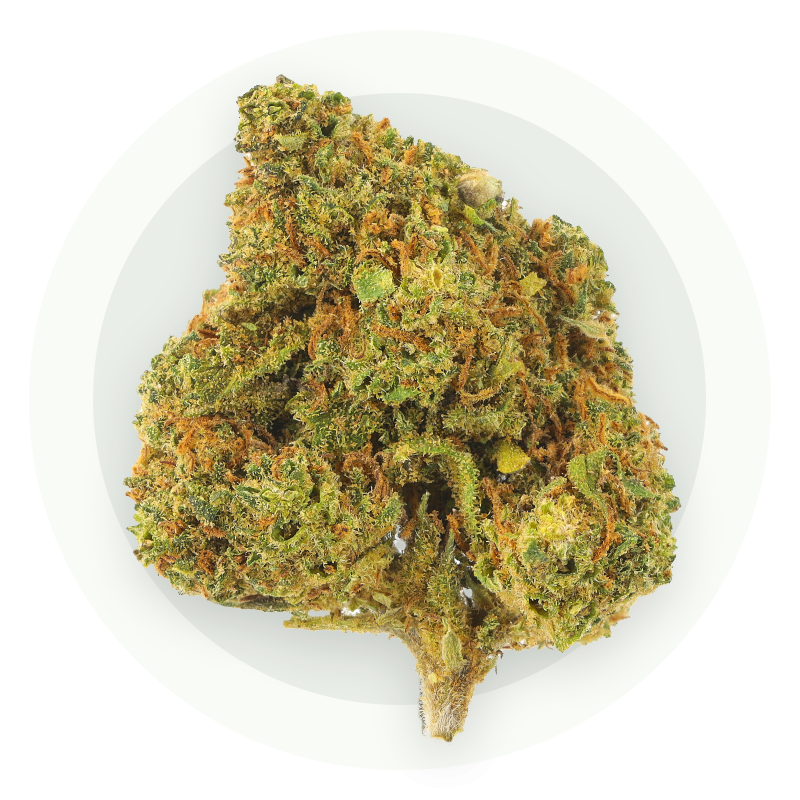 Diesel Tonic - Fleurs CBD
