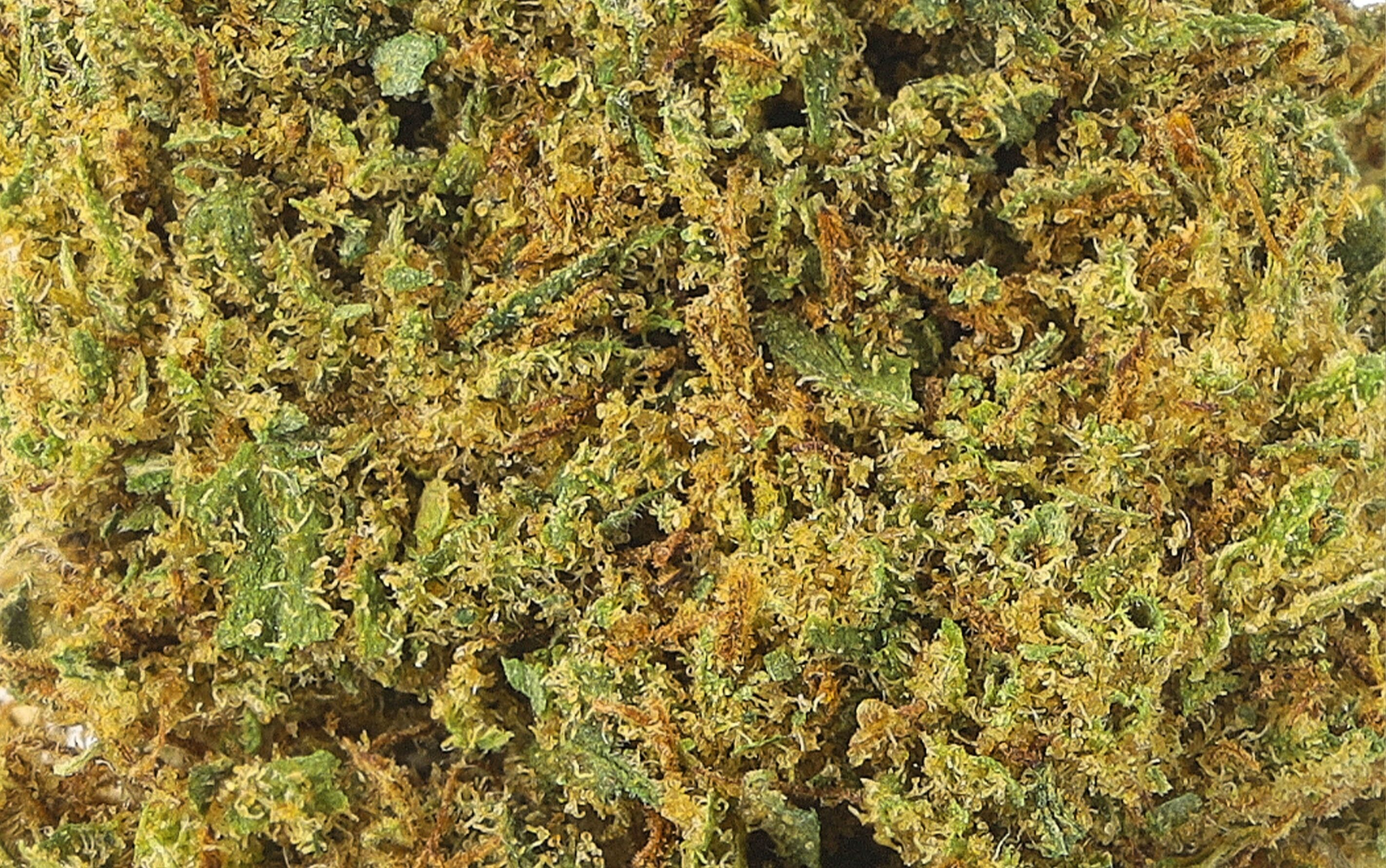 Peach Small Bud - Fiori CBD