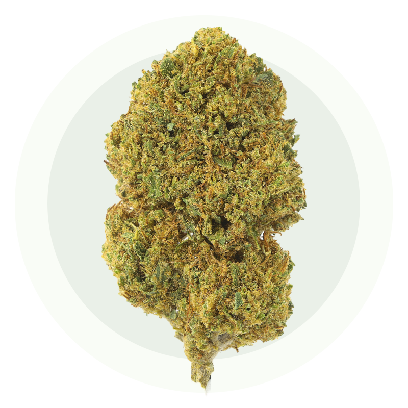 Peach Small Bud - Fiori CBD