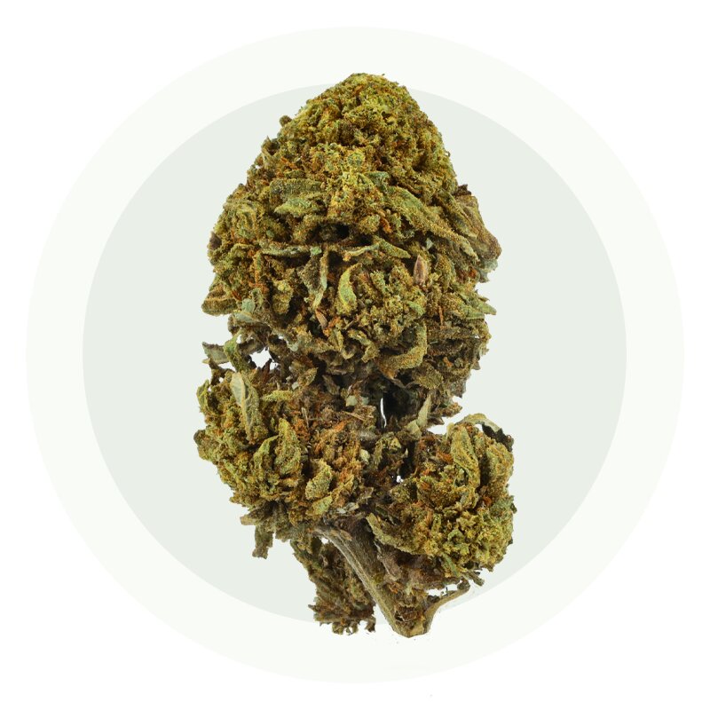 Gorilla - Fiori di CBD