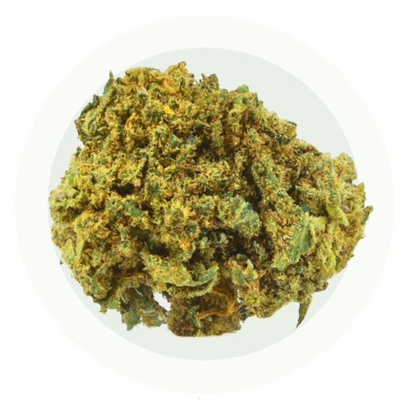 Fragola Small Bud - Fiori CBD