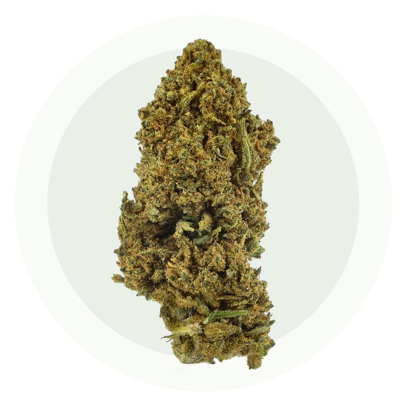 Blue Dream V2 - Fiori di CBD