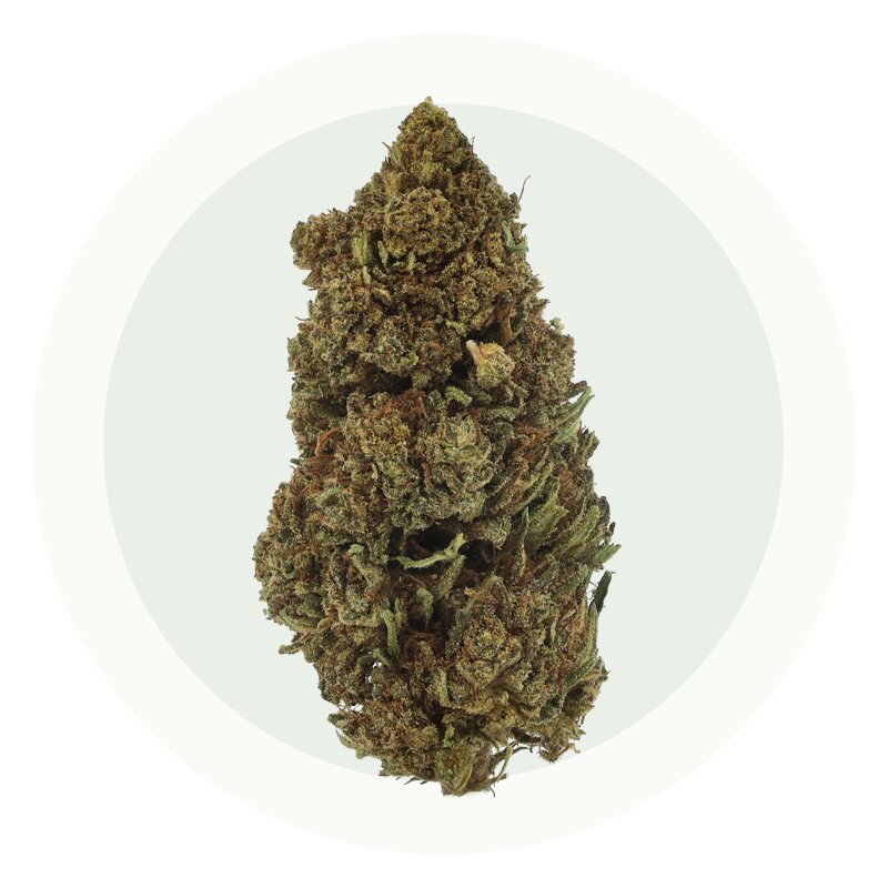 Zkittlez – Fleurs CBD