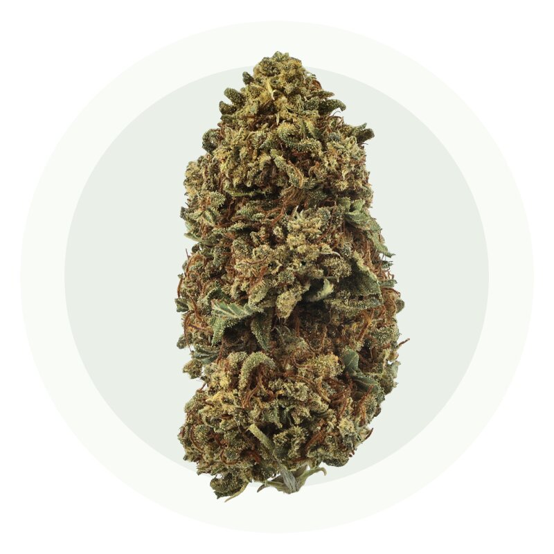 AK47 Supreme – Fleurs CBD