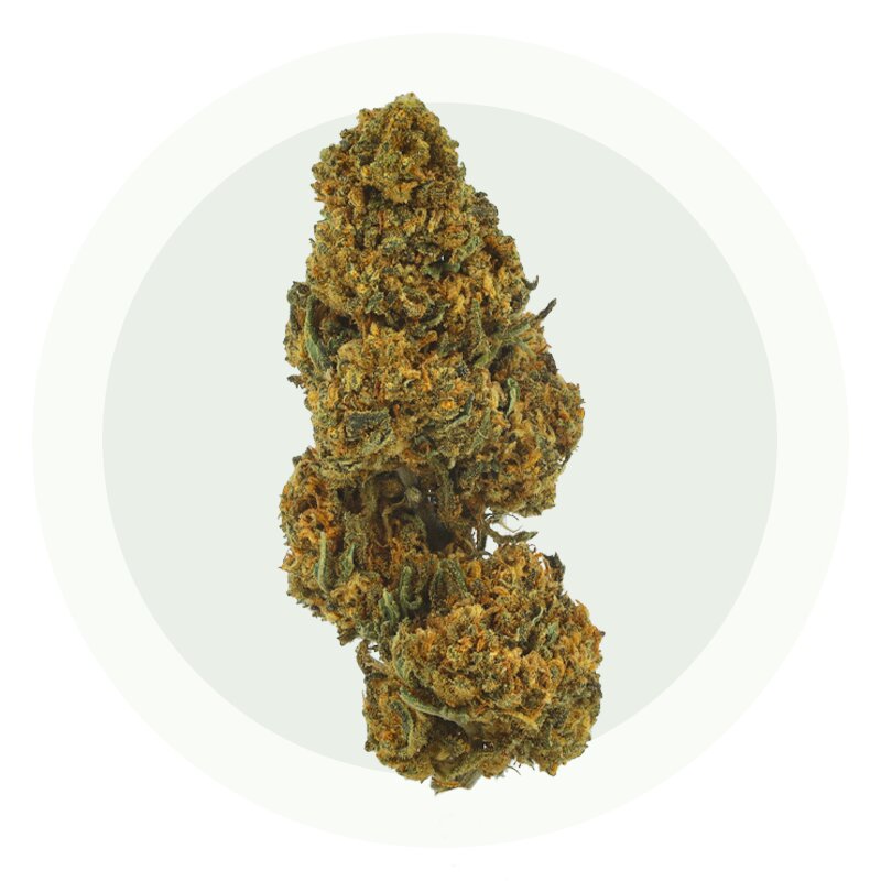 Tequila Sunrise – Fleurs CBD