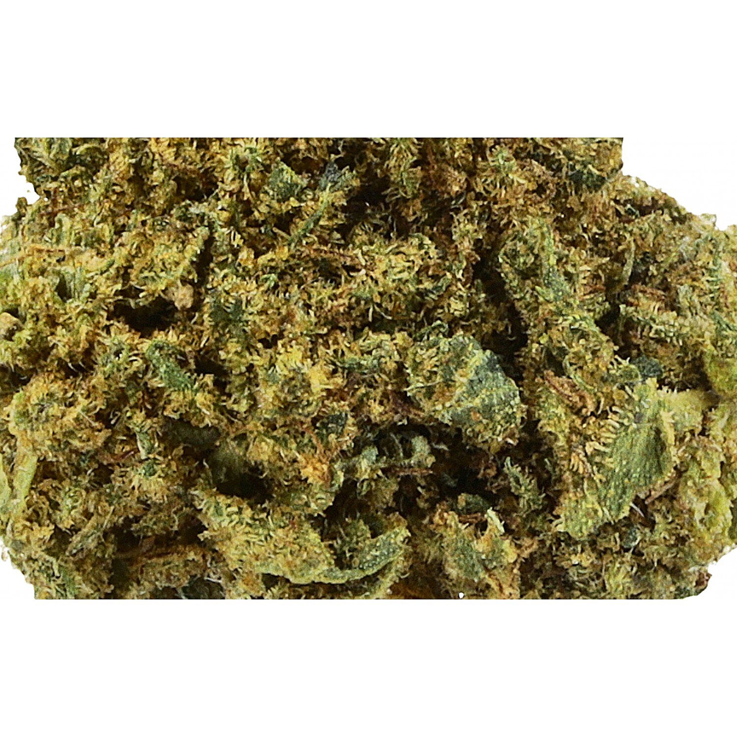 Morango pequeno botão - CBD Flores