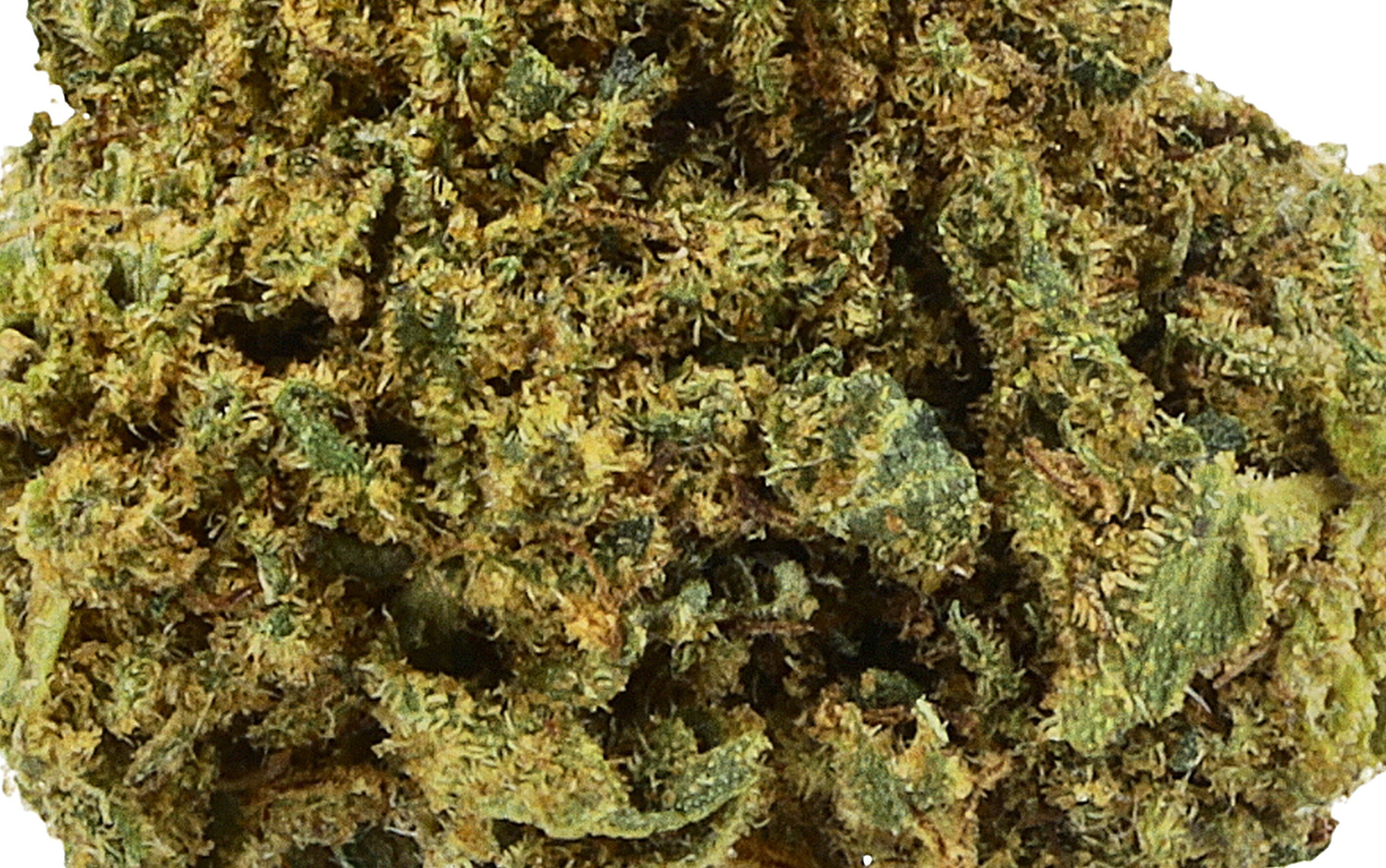 Strawberry Small Bud - Fleurs CBD