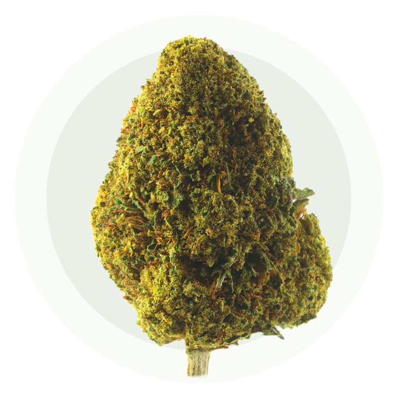Cali Dream - Kwiaty CBD