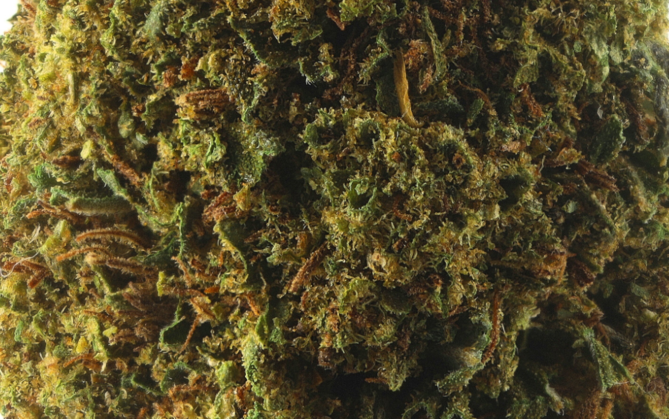 Cali Dream - Kwiaty CBD