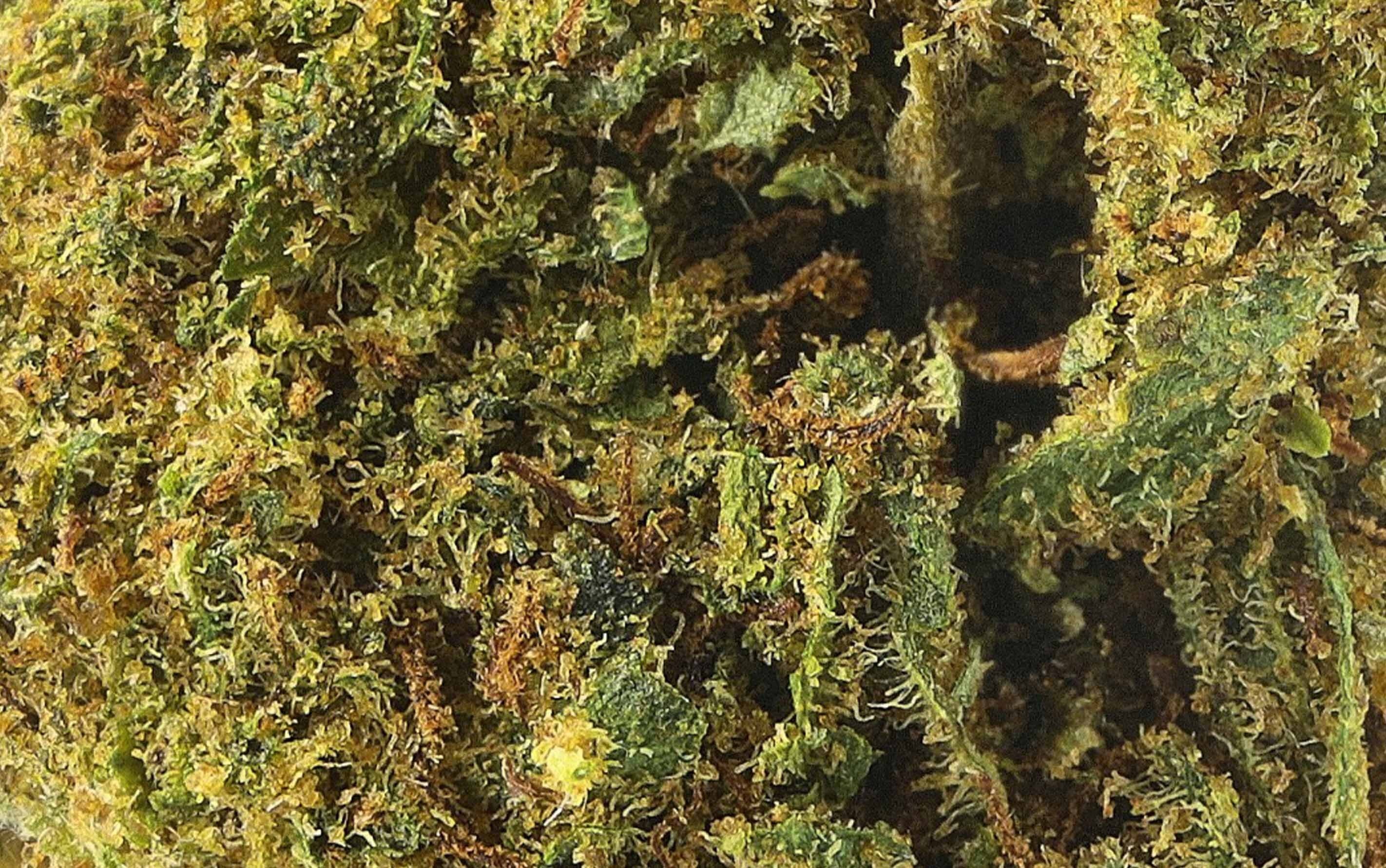 Lifter US - CBD-Blüten