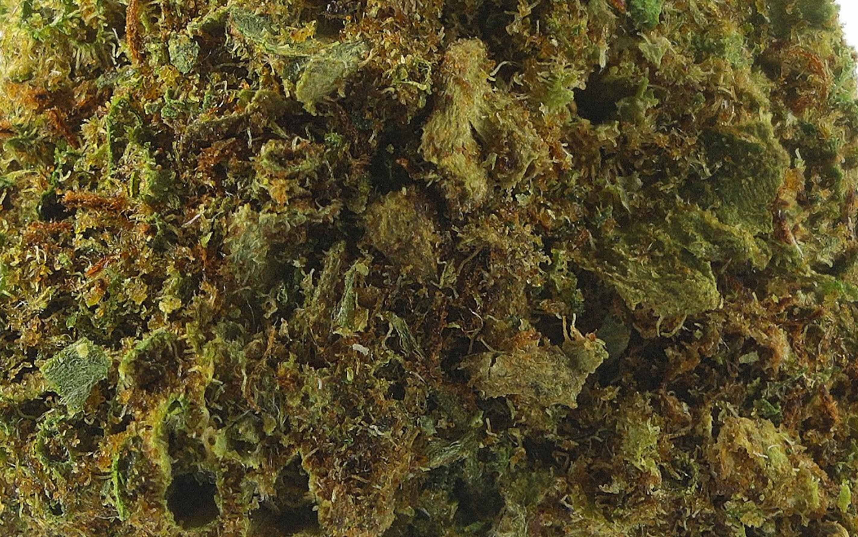 Lifter US - CBD-Blüten Small Bud