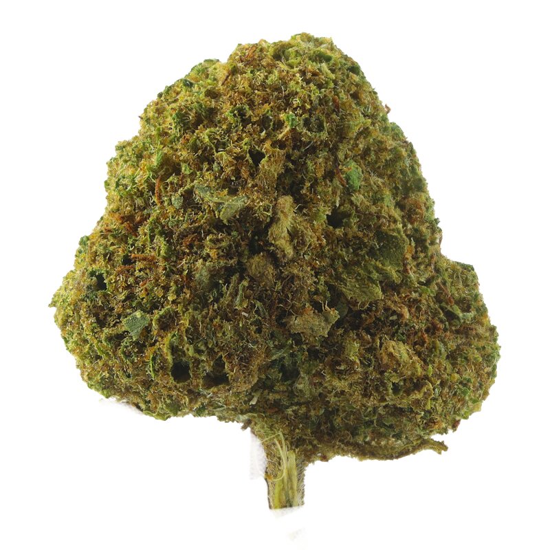Lifter US - CBD-Blüten Small Bud