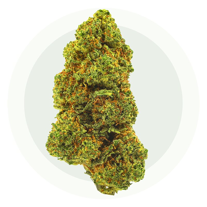 Tutti Frutti CBD - CBD-kukat