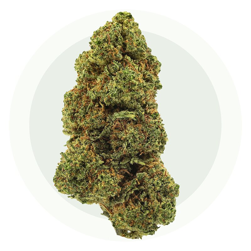 Tutti Frutti CBD - Λουλούδια CBD