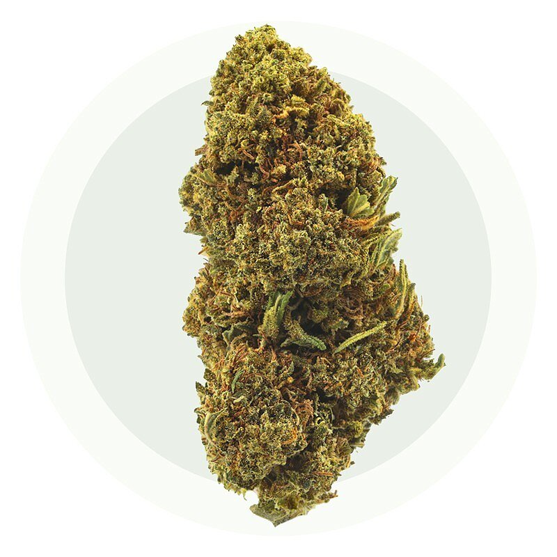 Goliath - CBD Bloemen