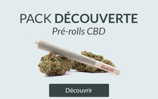 Pre-rolls de CBD