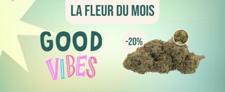 Fleurs de CBD