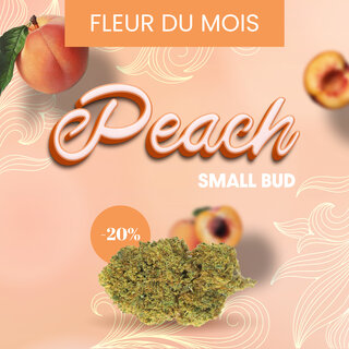 Fleurs de CBD