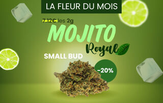 Fiori di CBD