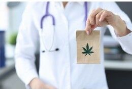 France : la légalisation du cannabis médical reportée à 2026