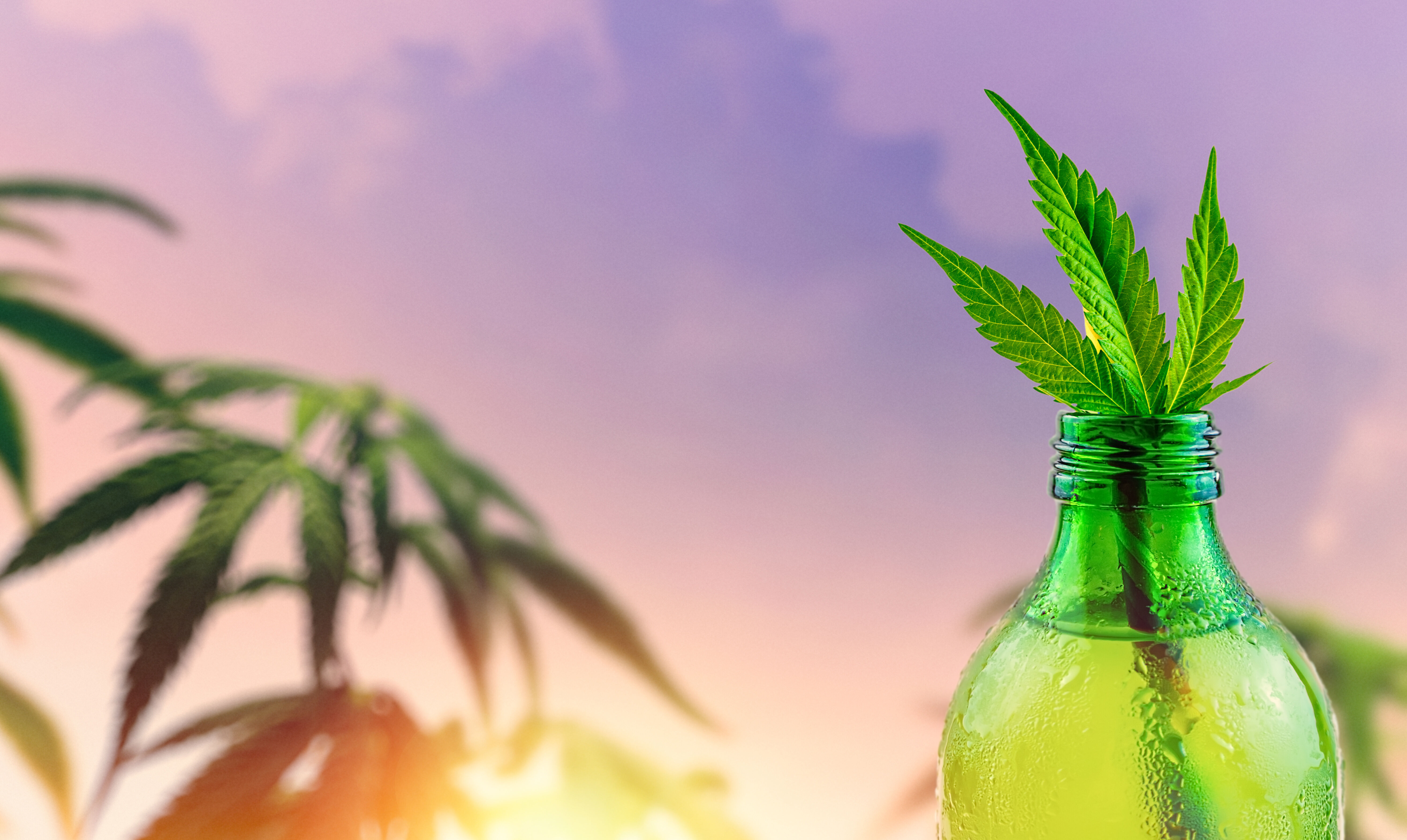 Le CBD contre l'alcoolisme