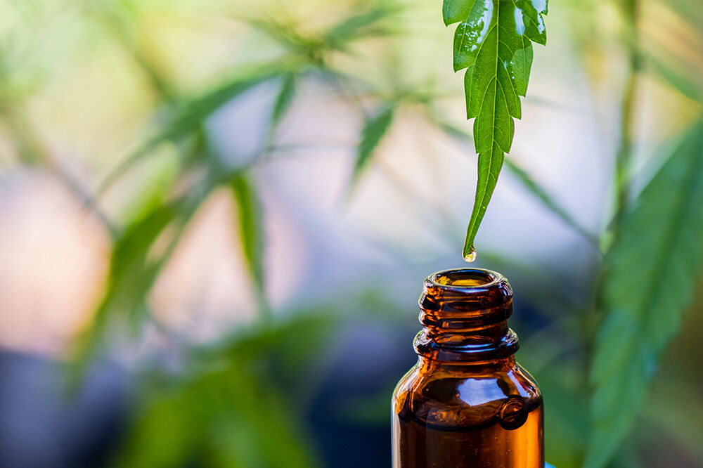 CBD : bienfaits et vertus du cannabidiol