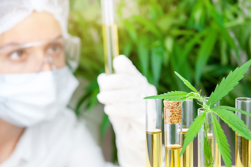 CBD et psychose : un essai international pour évaluer son efficacité