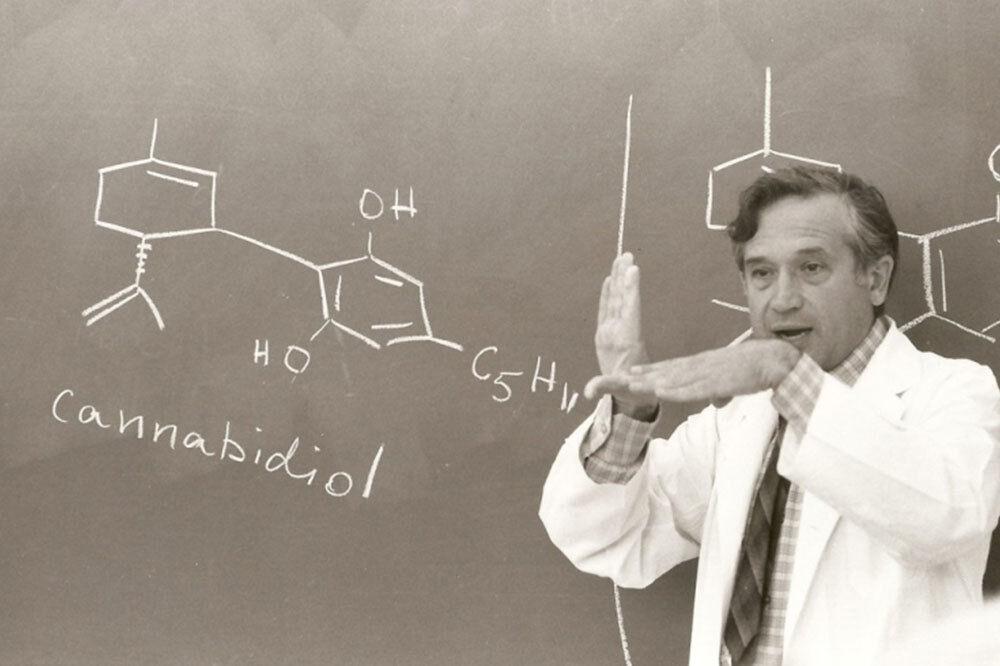 Décès de Raphael Mechoulam : le pionnier de la recherche sur le cannabis
