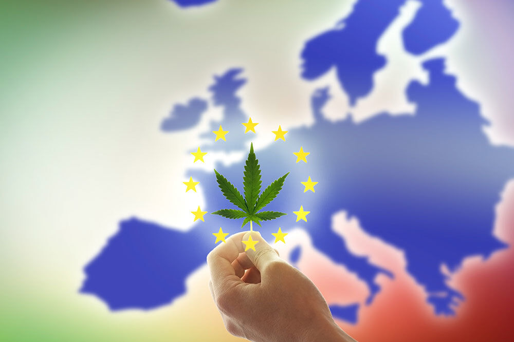 Europe : les tendances clés de la consommation de CBD