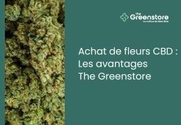 Achat de fleurs de CBD : les avantages signés The Greenstore