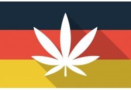 L'Allemagne prend la tête de la légalisation du cannabis en Europe