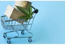Avantages du CBD en ligne