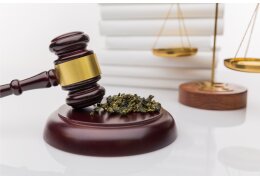 CBD vs article 23 du PLF 2026 : 35 000 emplois français dans la balance