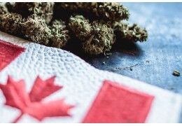 Canada 2023 : la vente de cannabis franchit la barre des 5 milliards de dollars