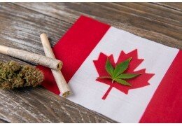 Legales Cannabis in Kanada bis 2025: eine erfolgreiche Wette