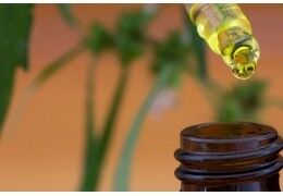 Le CBD contre les crises d'épilepsie