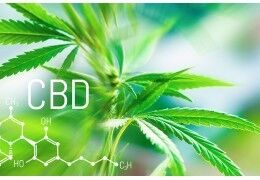 CBD définition : que veut dire CBD ?