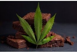 Comment consommer la résine de CBD ?