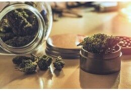 Comment utiliser un grinder CBD ? Guide complet