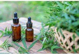 Aceite de cáñamo y aceite de CBD: las diferencias