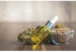 H4CBD contre CBD : quelles sont les différences et les similitudes ?