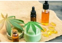 Gélules CBD VS huile CBD : que choisir ?